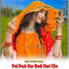 About Pal Posh Kar Badi Kari Che Song